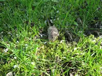 IMG_0167.webp