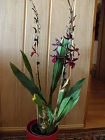 PB290067.webp