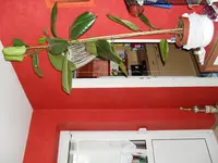 SAM_1101.webp