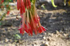 DSC_0034.webp