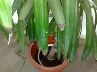 291120111679.webp