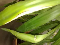 291120111680.webp