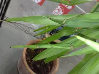291120111682.webp