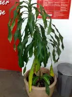 291120111684.webp