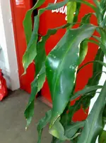 291120111685.webp