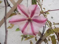 DSCF1449.webp