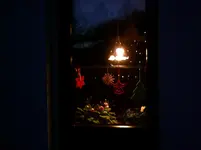 linkes Fenster.webp