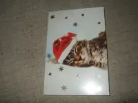 k-DSCF0059.webp