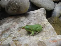 CIMG3784.webp