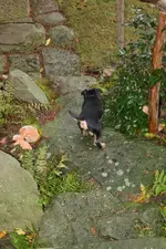 Branko 30.11 (2).webp