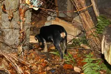 Branko 30.11 (4).webp
