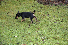 Branko 30.11 (12).webp