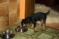 Branko 30.11 (16).webp