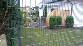 P1020010.webp