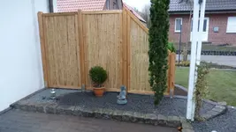 P1020017.webp