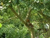 046.webp