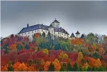 02_Rosensammler.webp