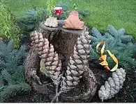 06_gartenivi.webp