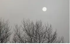 14_MFin.webp