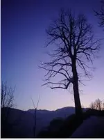 21_Fini.webp