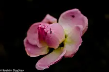 30.11.11 (25 von 62).webp