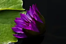 30.11.11 (9 von 62).webp