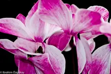 30.11.11 (19 von 62).webp