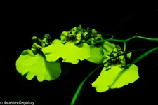 30.11.11 (20 von 62).webp