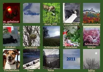 Copy of November 2011 (1).webp