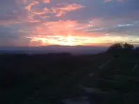nic19.11.11 016.webp