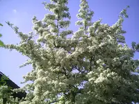 PIC00948.webp