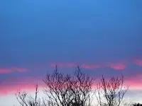 013.webp