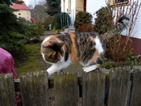 031.webp