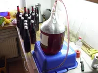 Weinbereitung 2011 (1).webp
