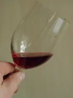 Weinbereitung 2011 (4).webp