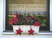 Fensterkasten.2011.webp