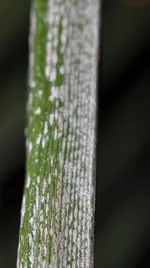 DSC_0024.webp