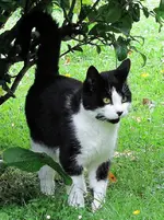 Copy of Copy of IMG_8894.webp