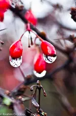 6.12.11 (15 von 48).webp