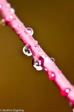 6.12.11 (18 von 48).webp