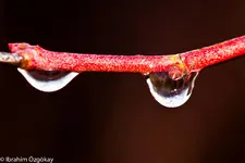 6.12.11 (30 von 48).webp