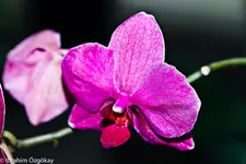 30.11.11 (21 von 52).webp