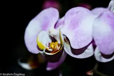 30.11.11 (14 von 52).webp