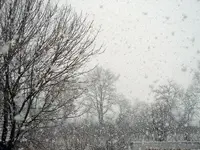 Der1-Schnee006.webp