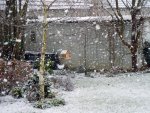 Der1-Schnee007.JPG