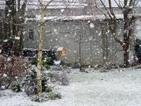 Der1-Schnee007.webp