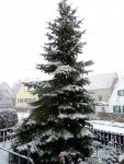 Der1-Schnee013.JPG