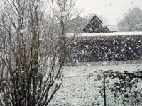 Der1-Schnee009.webp