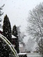 Der1-Schnee014.webp