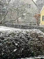 Der1-Schnee015.webp